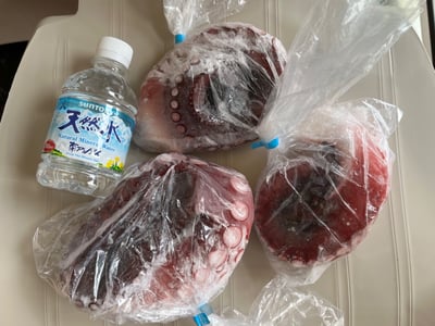 お礼の品の感想画像 1