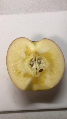 お礼の品の感想画像 1