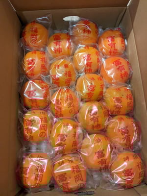 お礼の品の感想画像 1