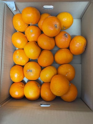 お礼の品の感想画像 1
