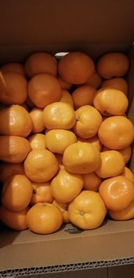 お礼の品の感想画像 1