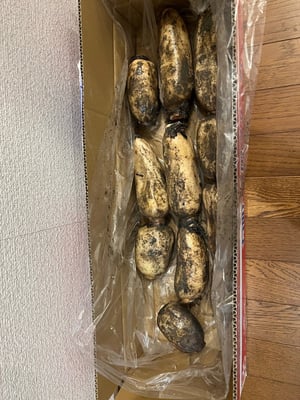 お礼の品の感想画像 1