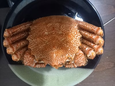 お礼の品の感想画像 1