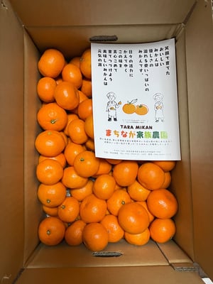 お礼の品の感想画像 1