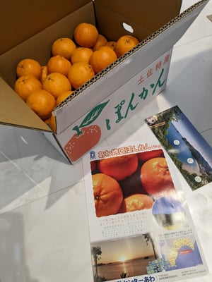 お礼の品の感想画像 1