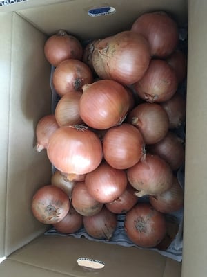 お礼の品の感想画像 1