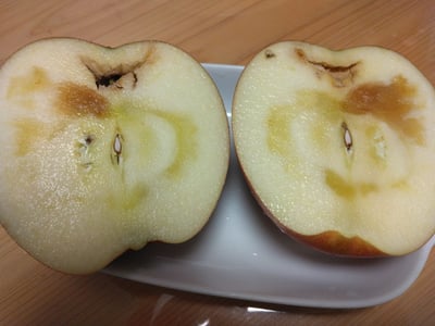 お礼の品の感想画像 1