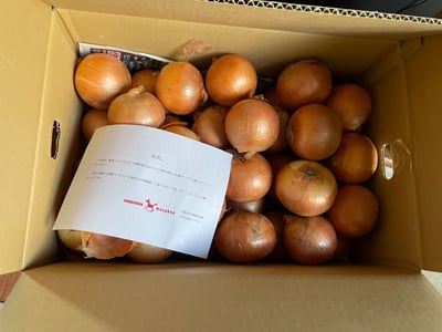 お礼の品の感想画像 1