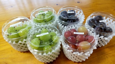 お礼の品の感想画像 1