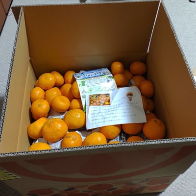 お礼の品の感想画像 1