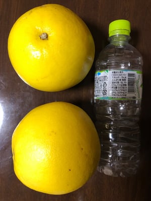 お礼の品の感想画像 1