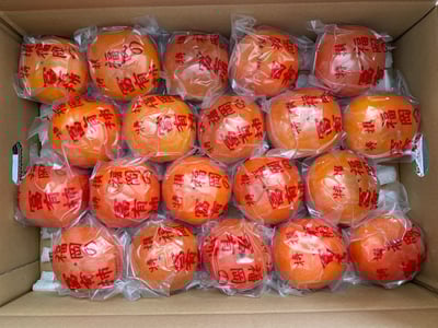 お礼の品の感想画像 1