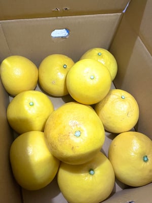 お礼の品の感想画像 1
