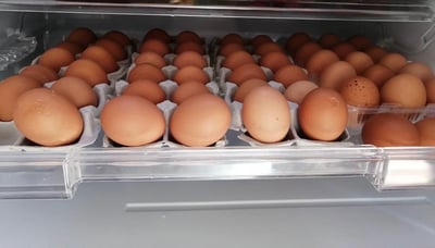 お礼の品の感想画像 3