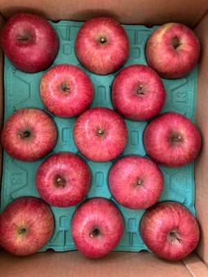 お礼の品の感想画像 1