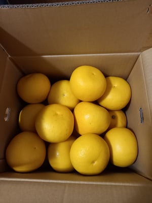 お礼の品の感想画像 1