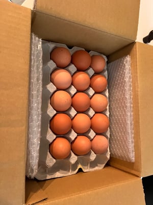 お礼の品の感想画像 1