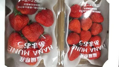 お礼の品の感想画像 1