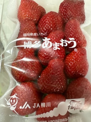 お礼の品の感想画像 1