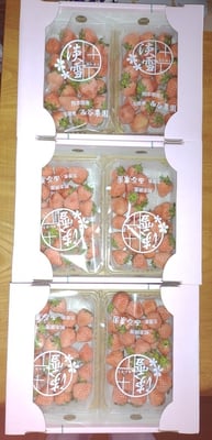 お礼の品の感想画像 1