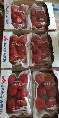 お礼の品の感想画像 1