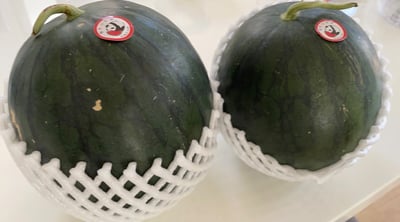 お礼の品の感想画像 1