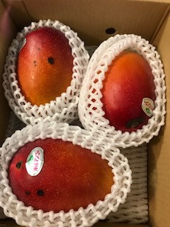 お礼の品の感想画像 1