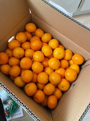 お礼の品の感想画像 1
