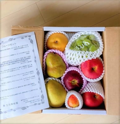 お礼の品の感想画像 1