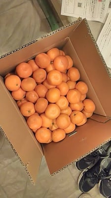 お礼の品の感想画像 1