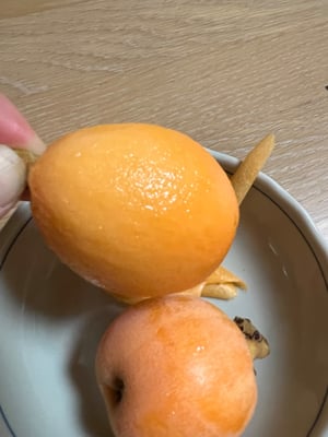 お礼の品の感想画像 1