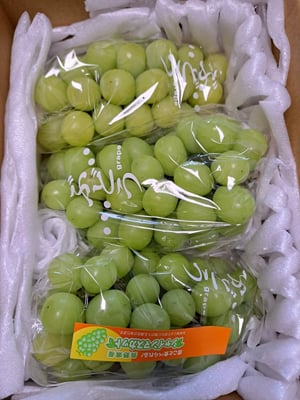 お礼の品の感想画像 1