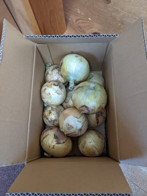 お礼の品の感想画像 1