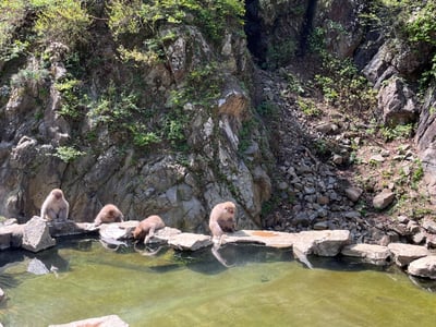 山ノ内町内宿泊補助券（6枚）1年間有効 30,000円分 旅行 宿泊券 ホテル