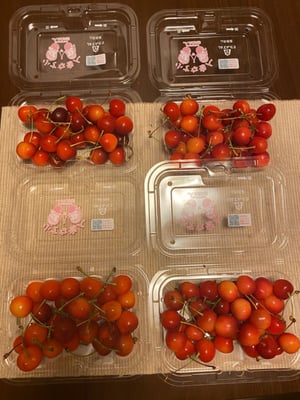 お礼の品の感想画像 1