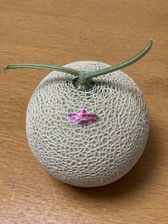 お礼の品の感想画像 1
