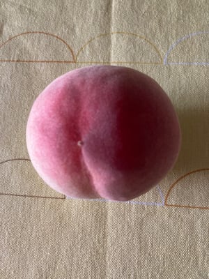 お礼の品の感想画像 1