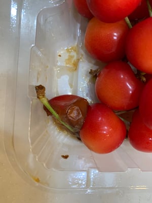 お礼の品の感想画像 1