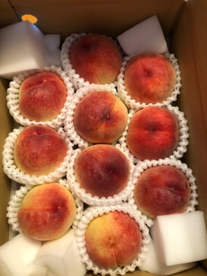 お礼の品の感想画像 1