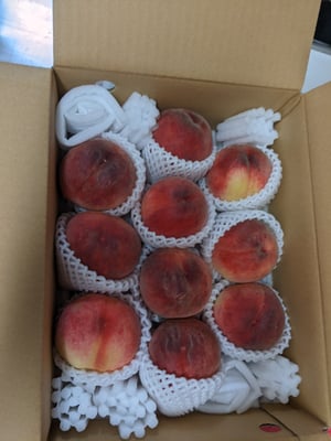 お礼の品の感想画像 1