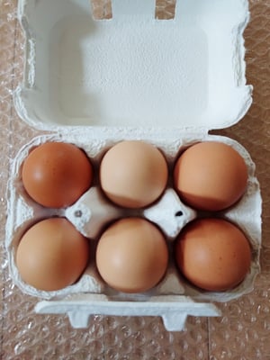 お礼の品の感想画像 2