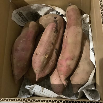 お礼の品の感想画像 1