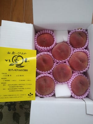 お礼の品の感想画像 1