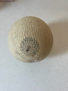 お礼の品の感想画像 1