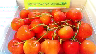 お礼の品の感想画像 1