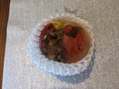 お礼の品の感想画像 1
