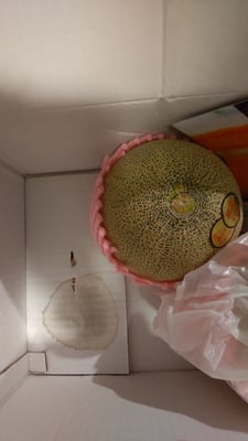 お礼の品の感想画像 1