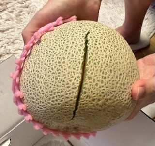 お礼の品の感想画像 1