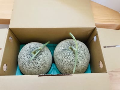お礼の品の感想画像 1