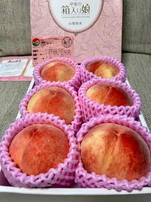 お礼の品の感想画像 1